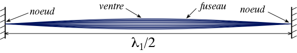 corde excitée : 1 ventre = fondamental